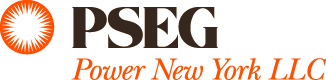 Uploaded File: PSEG_Power.jpg