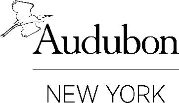 Uploaded Image: /vs-uploads/images/Audubon.jpg