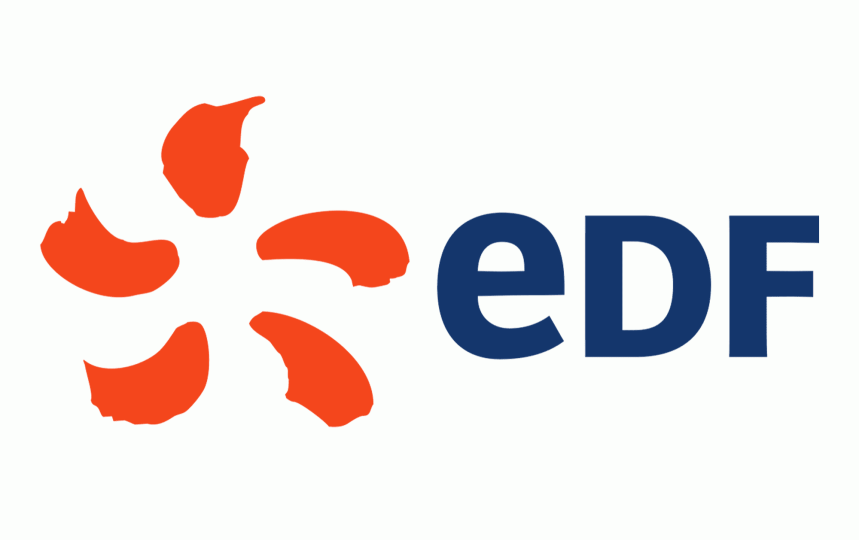Uploaded Image: /vs-uploads/images/EDF-Logo.png